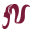 Naija Beauty Hair logo