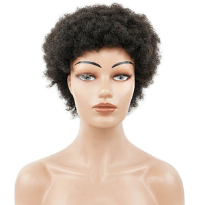New Arrival-short curly afro kinky wigs - Naija Beauty Hair