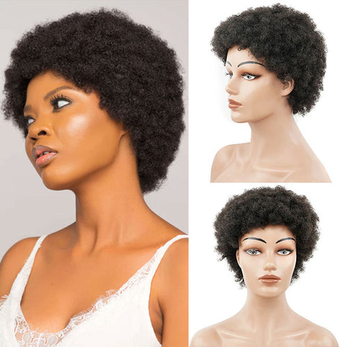 New Arrival-short curly afro kinky wigs - Naija Beauty Hair